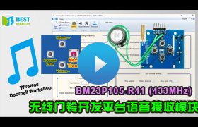 BM23P105-R41