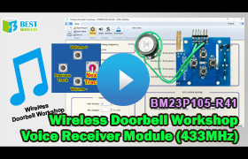 BM23P105-R41