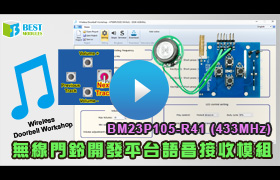 BM23P105-R41